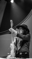 Anthony Gomes