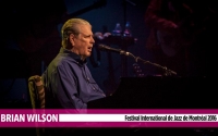Brian Wilson banner show