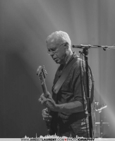 Bruce Cockburn