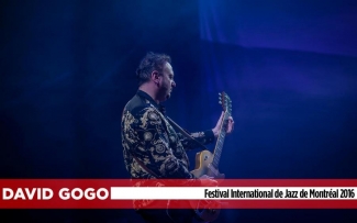 david-gogo-FIJM-show
