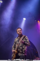 David Gogo