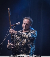 David Gogo