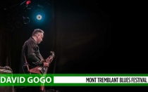 DAvid-Gogo-banner-show-