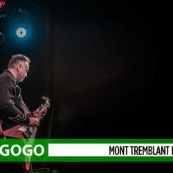 DAvid-Gogo-banner-show-