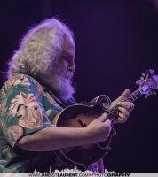 David Grisman