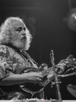 David Grisman