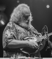 David Grisman