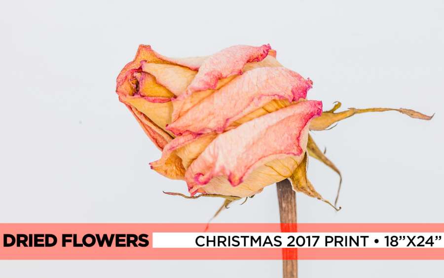 2017-xmas-print-banner