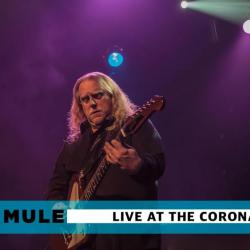 govt-mule-banner-show