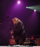 Warren Haynes