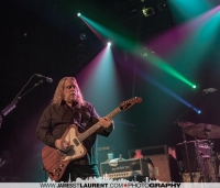 Warren Haynes