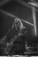 Warren Haynes