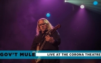 govt-mule-banner-show