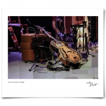 Harmony Guitar on Stage