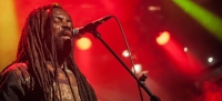 Rocky Dawuni