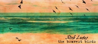 Bravest Birds - Rob Lutes