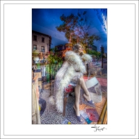 In-Through-the-Looking-Glass-Montreal-08