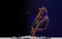 Freddy Freedom, guitar player