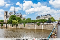 Paris Love Locks - near Notre Dame Cathedral