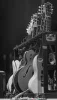 Lucinda Williams