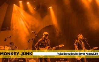 monkey junk banner show