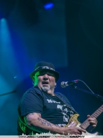 Poppa Chubby