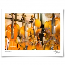 Strings Variation #03