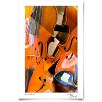 Strings Variation #05