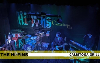 hi-fins-banner-show