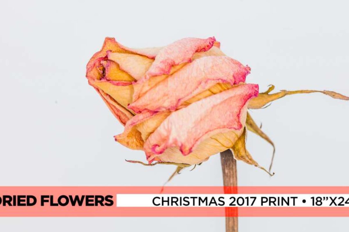 Christmas 2017 Print