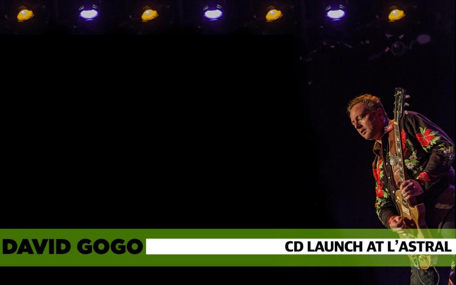 David Gogo – “Vicksburg Call”